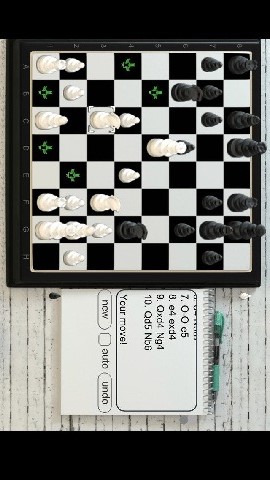 国际象棋3D4