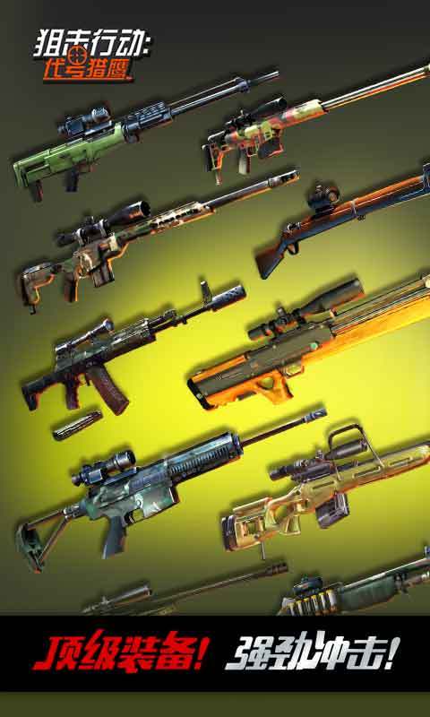 狙击行动：代号猎鹰5