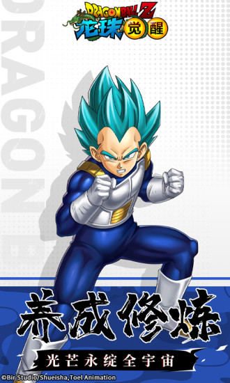 龙珠觉醒5