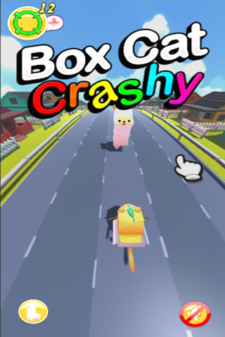 Box Cat - Crashy1