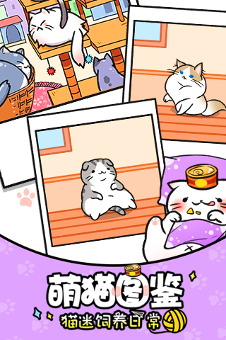 猫咪公寓1