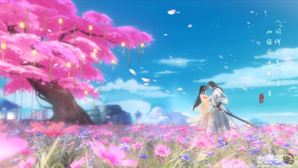 花与剑截图8