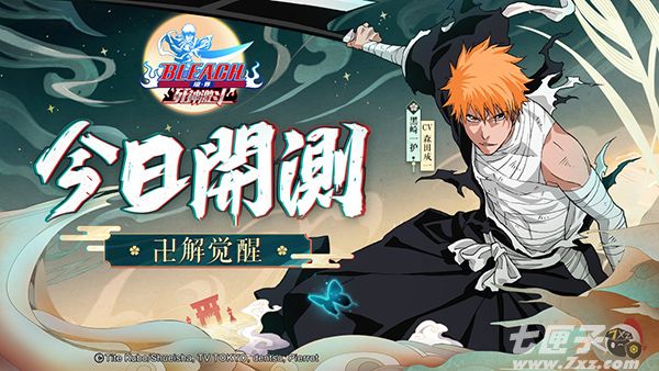 BLEACH境?界-死神激斗 截图1
