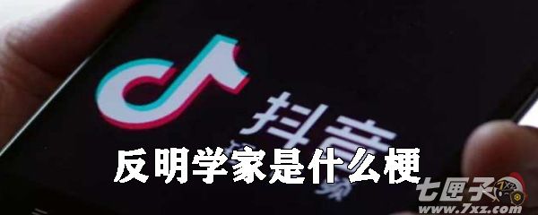 反明学家是什么梗