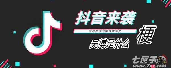 吴博是什么意思