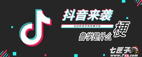 鲁学是什么意思