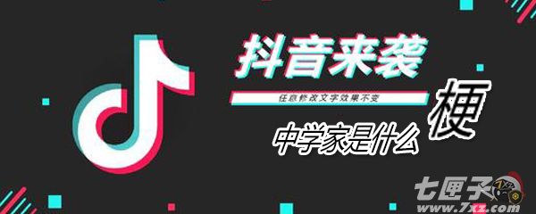 中学家是什么意思