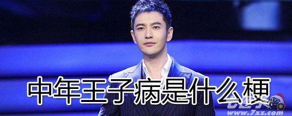 中年王子病是什么梗