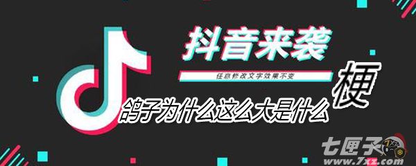 鸽子为什么这么大是什么意思 鸽子为什么这么大是什么意思