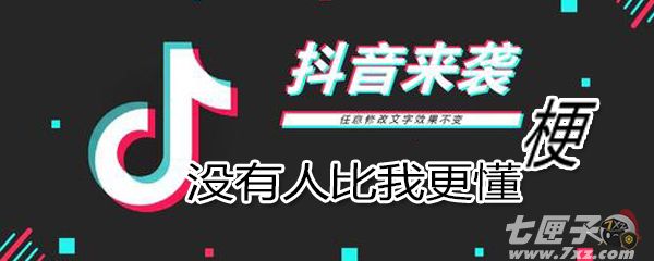 没有人比我更懂是什么梗