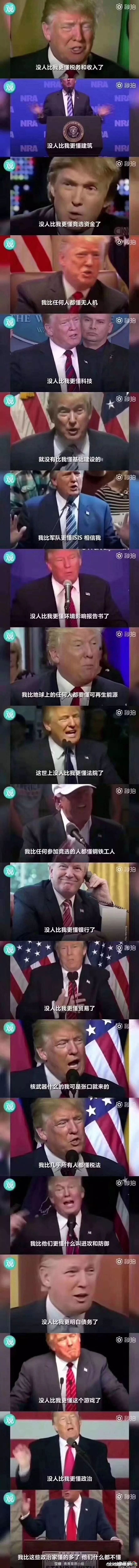 没有人比我更懂是什么梗