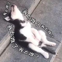 麻将图片表情包我太难了