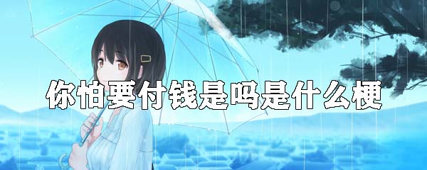 你怕要付钱是吗是什么梗 你怕要付钱是吗是什么梗