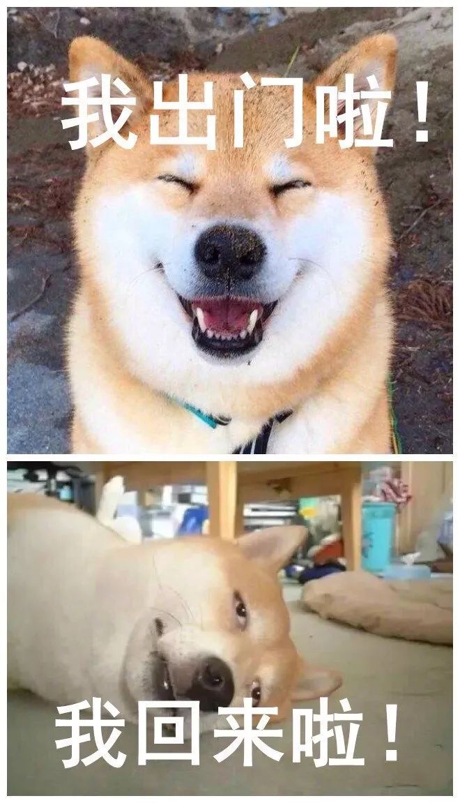 我出门啦我回来了表情包