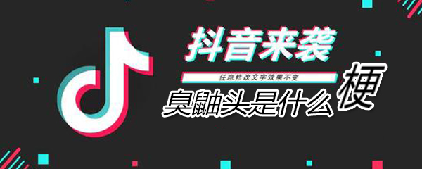 臭鼬头是什么梗