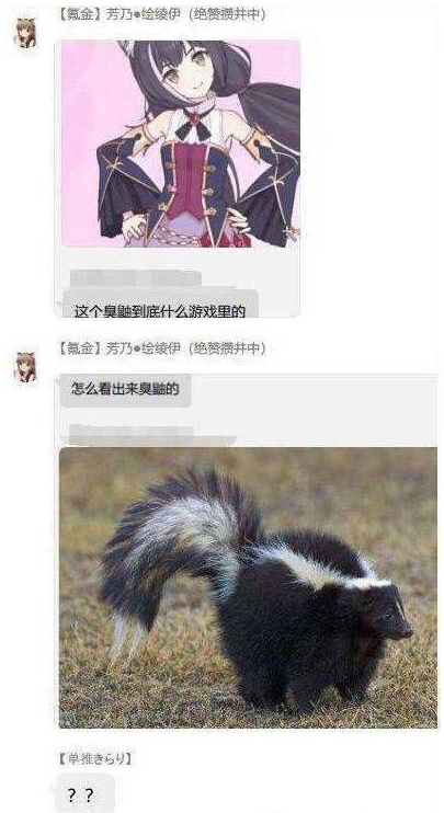 臭鼬头是什么梗 臭鼬头是什么梗