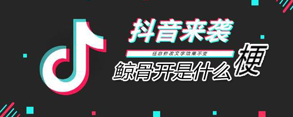 鲸骨开是什么意思_ 鲸骨开是什么意思_