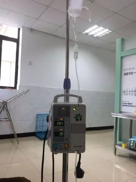 女生输液照片请假专用 女生输液照片请假专用