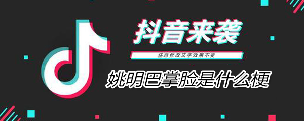 姚明巴掌脸是什么意思 姚明巴掌脸是什么意思