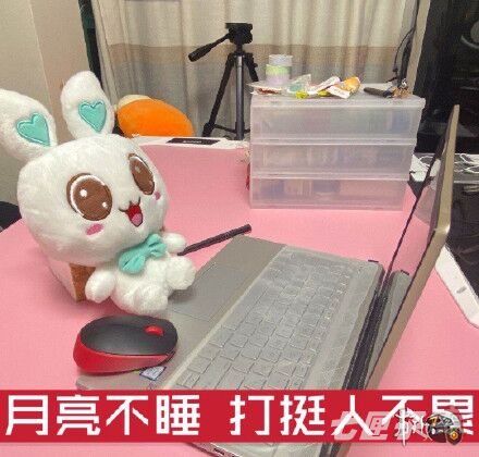 双11打挺人是什么梗 双11打挺人是什么梗