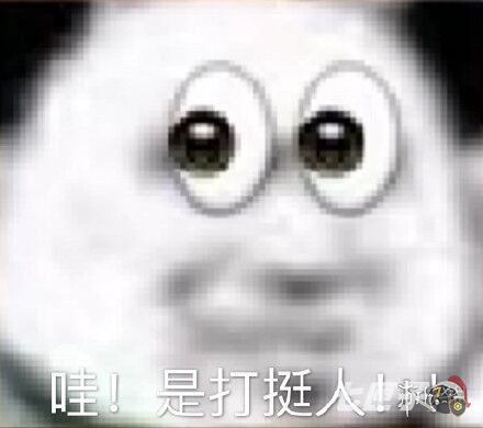 双11打挺人是什么梗 双11打挺人是什么梗