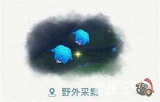 原神幽灯蕈哪里采集