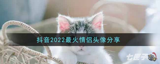 抖音2022最火情侣头像分享