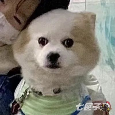 抖音2022最火情侣头像全类型