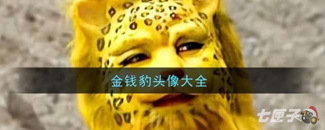金钱豹头像大全