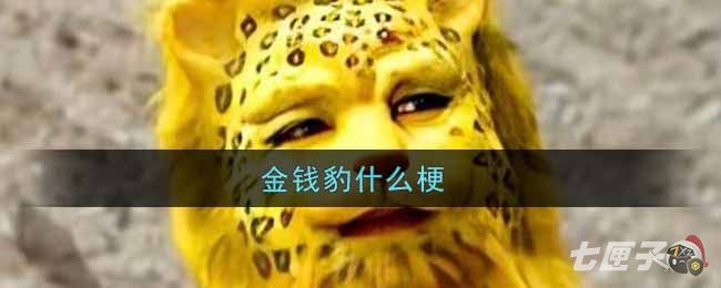 金钱豹什么梗
